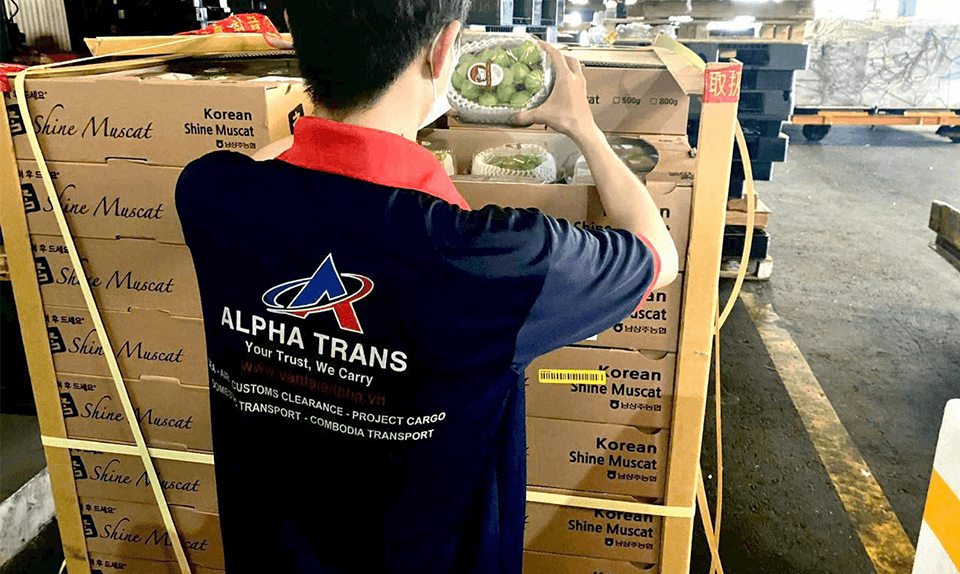 AlphaTrans offers nationwide coverage and same-day customs declaration services