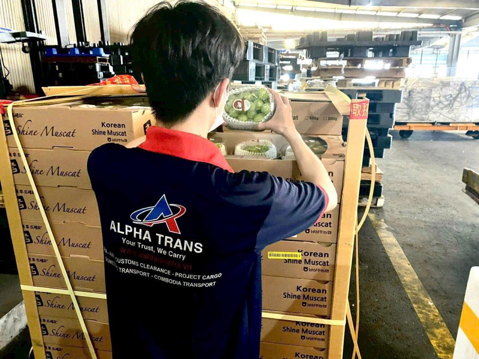 With AlphaTrans, you gain a trusted logistics partner who understands the customs system inside out.