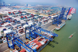 Ocean Freight China to Vietnam 2026: Rates & Transit
