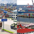Best Lcl And Fcl Sea Freight From Viet Nam Main Port To Uae